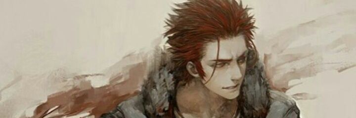 Ope Ope no mi banner