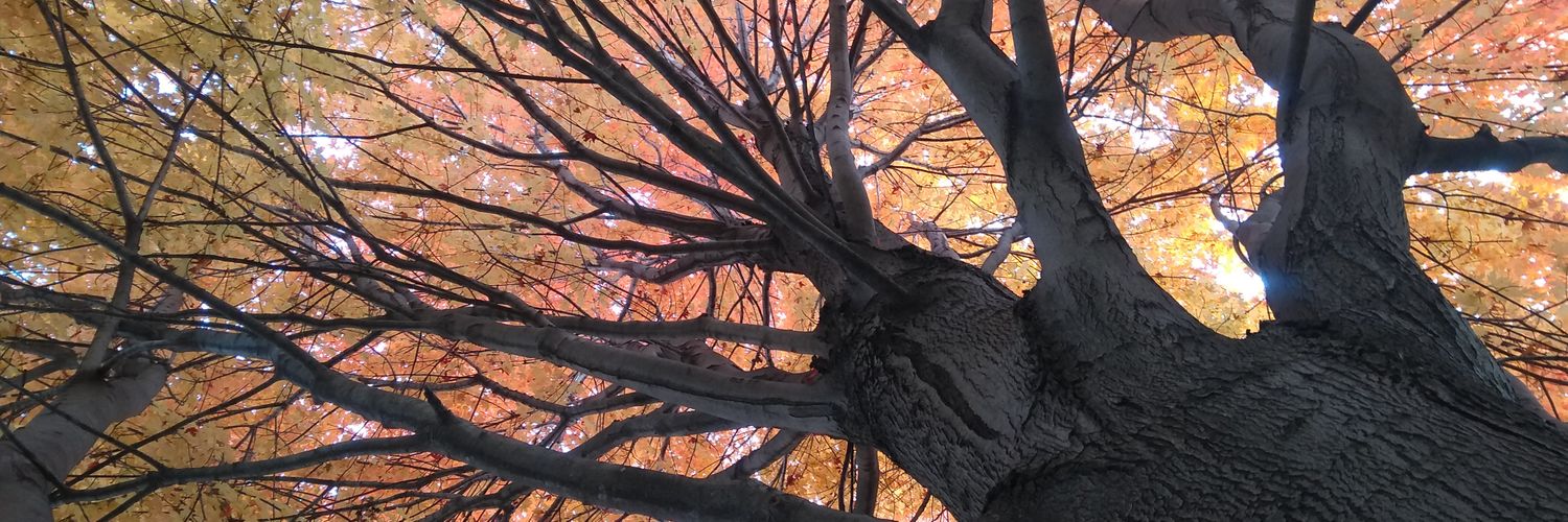 wORDEAL's profile banner image