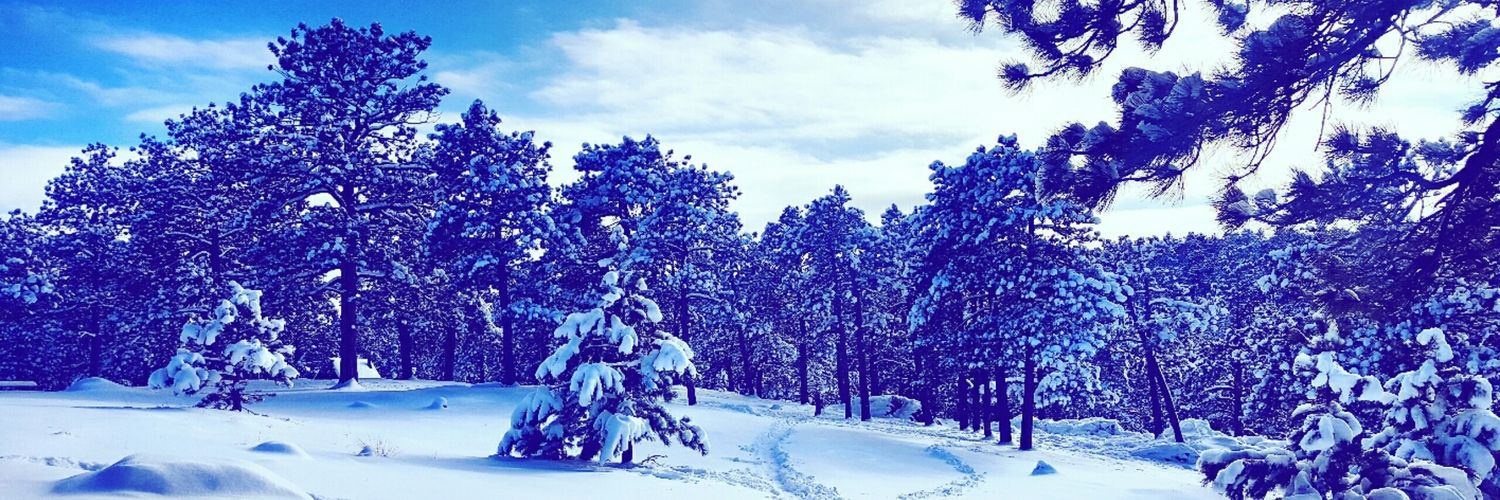 MariaaaT's profile banner image