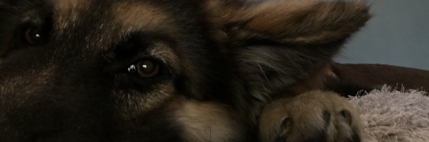 MarieB banner