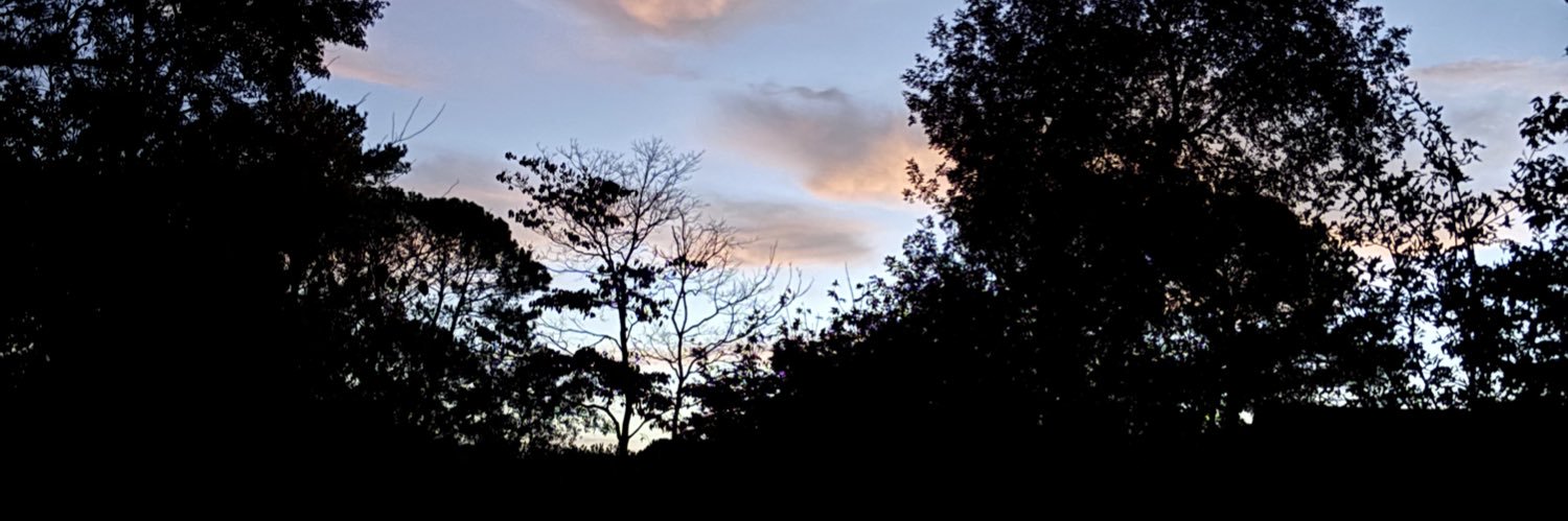 Leftynga's profile banner image