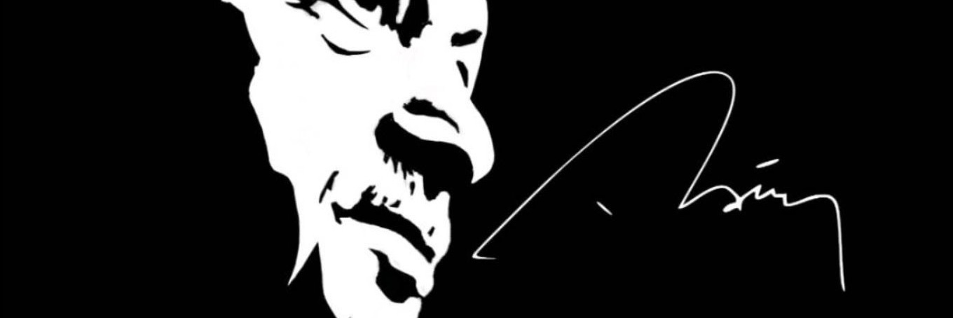vildanonar's profile banner image