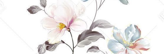 kikizaky's profile banner image
