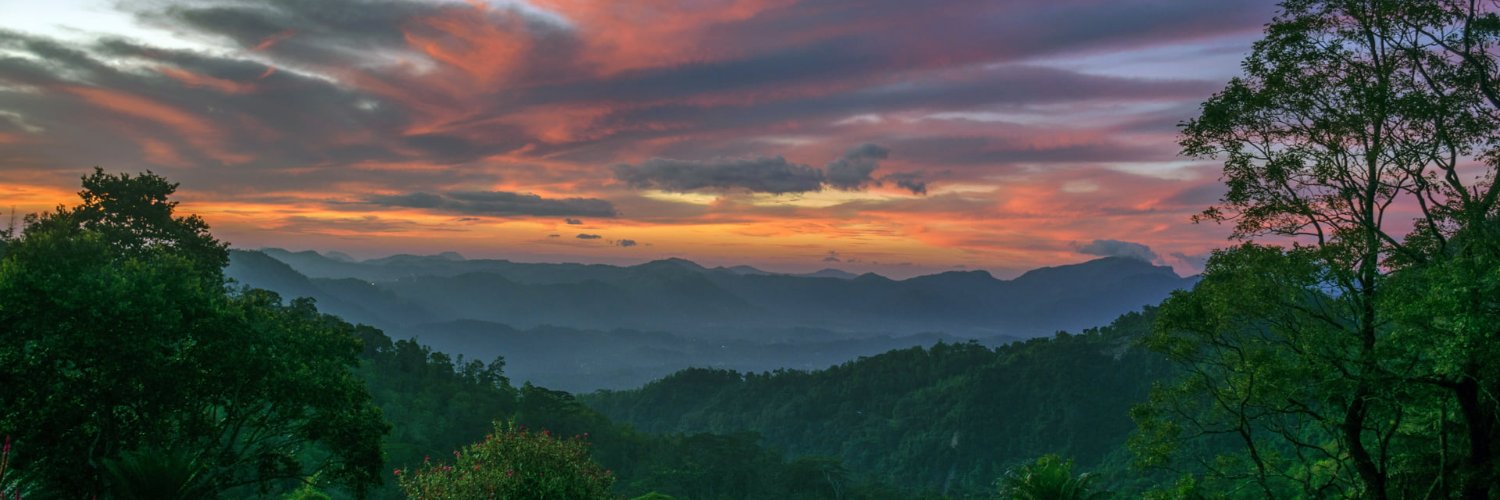 Binesh Amarasekara banner