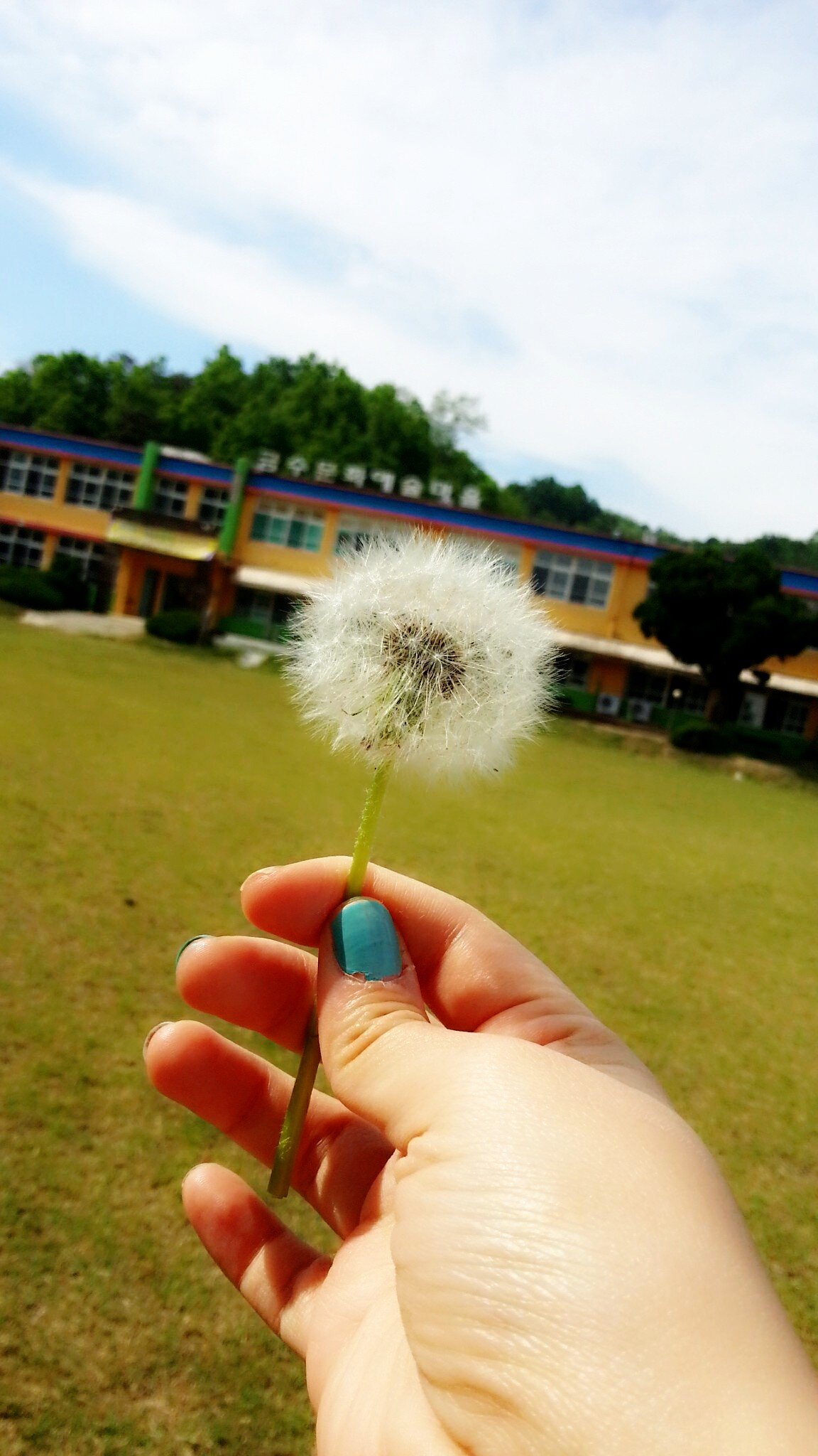 soojtree's profile banner image