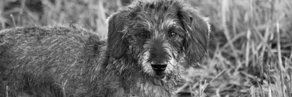 MILERHS Profile Banner