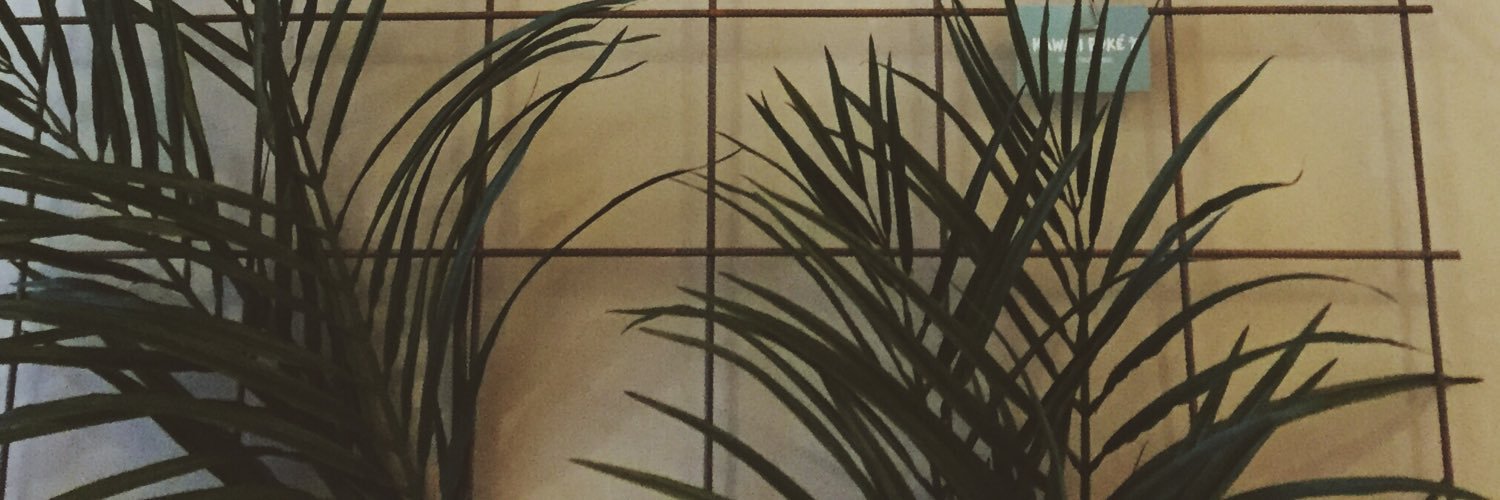 Sofia Lindström banner