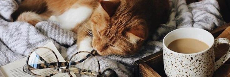 coffeedean_'s profile banner image
