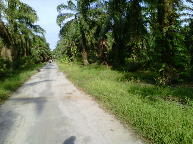 Man83Jambi's profile banner image