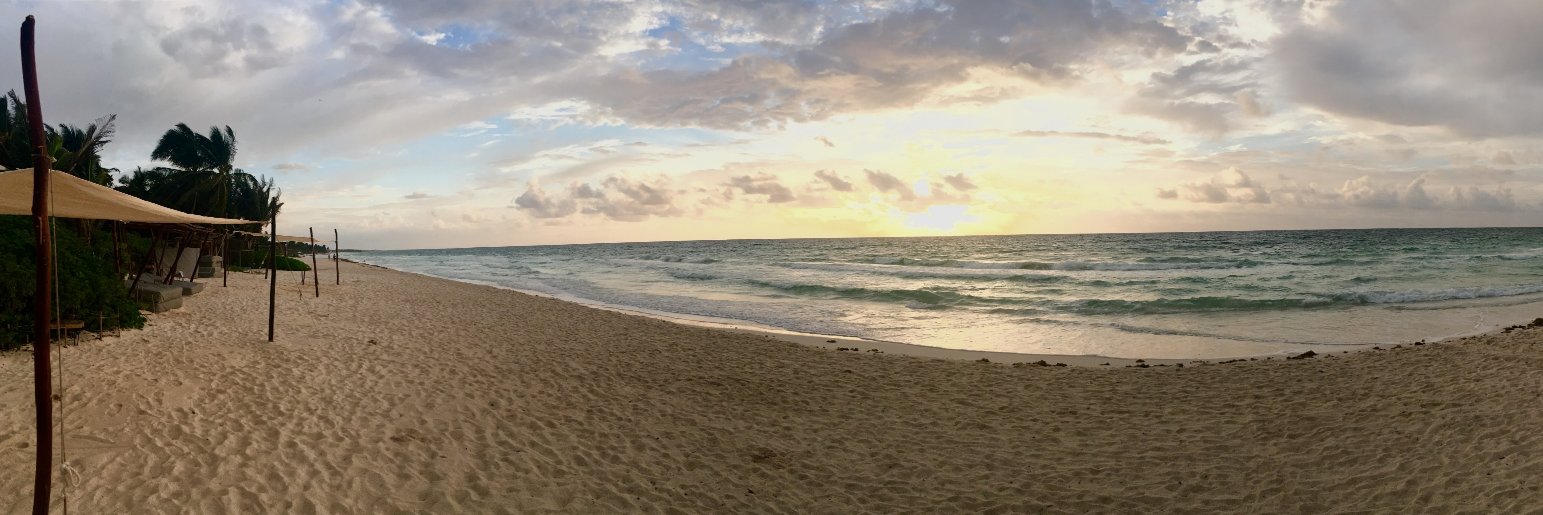 Rodrigo Martinez banner