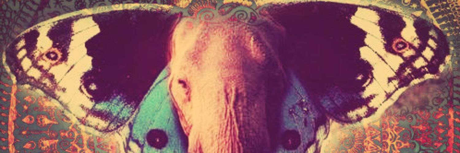 DeeDiazH's profile banner image