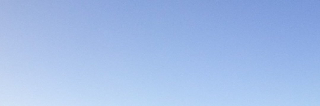 paugrossi's profile banner image