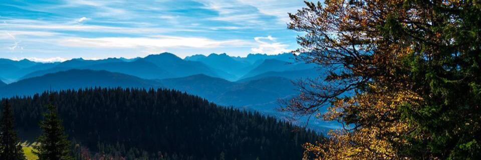 _MrsBBrown's profile banner image