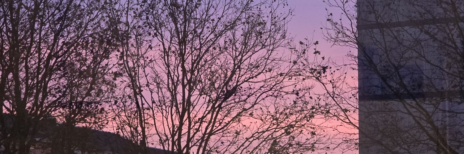 RWDK85's profile banner image