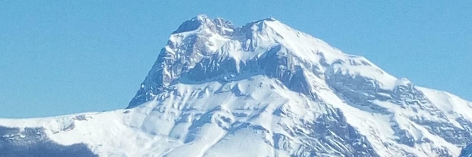 mtoppi's profile banner image