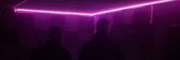 Li_Limps's profile banner image