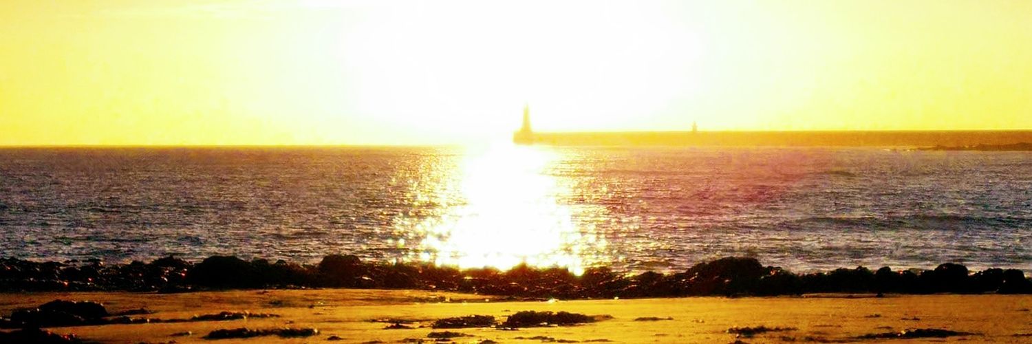 Che John Connon banner