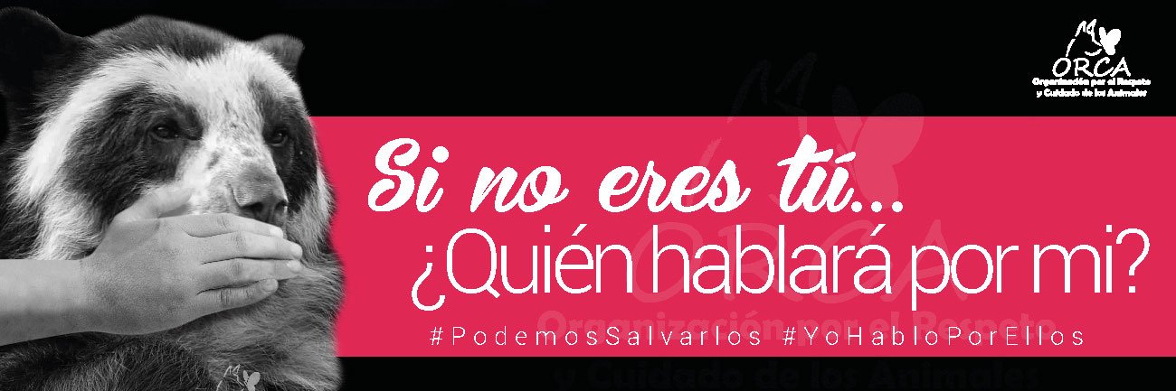 Fundación O.R.C.A. banner