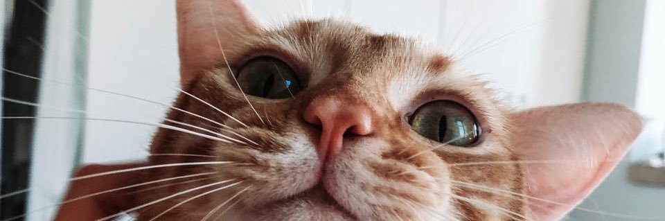 andamyagain's profile banner image