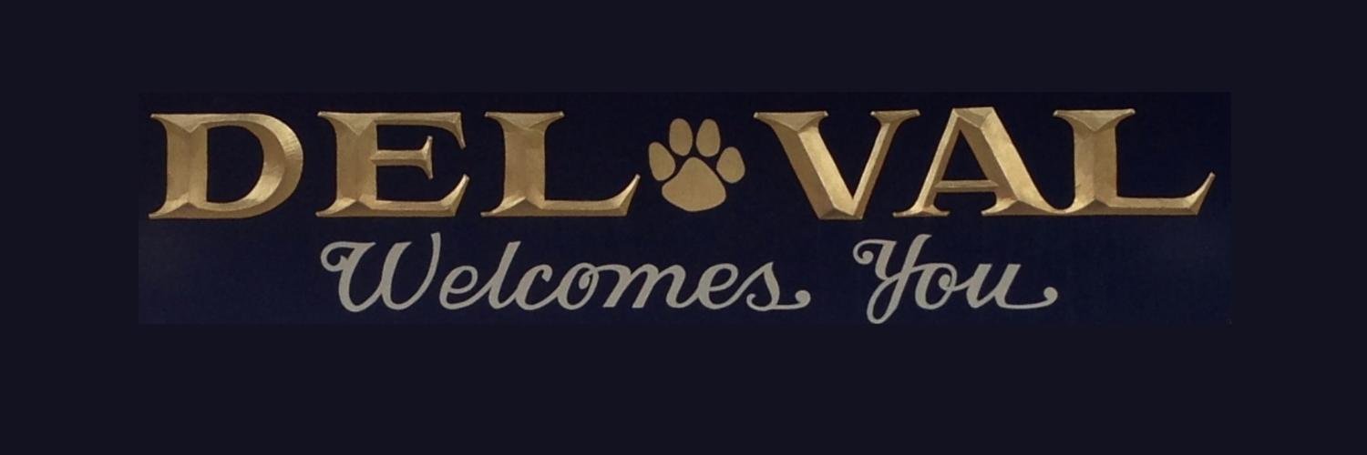 DelValTerrier's profile banner image