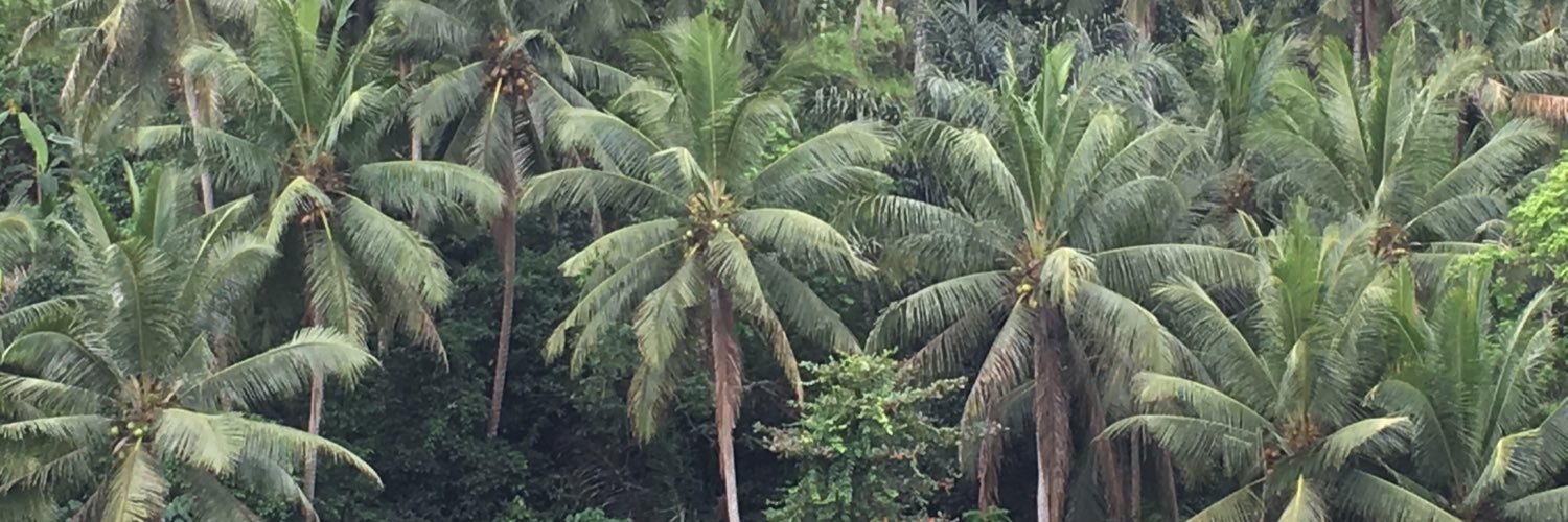 guccykun banner