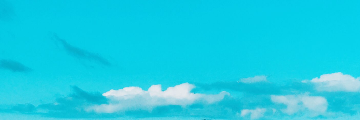 nisemonteiro's profile banner image