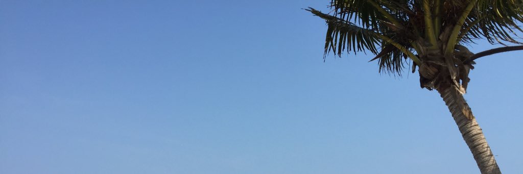 RissOnWords's profile banner image