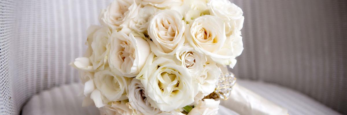 rose_natz's profile banner image