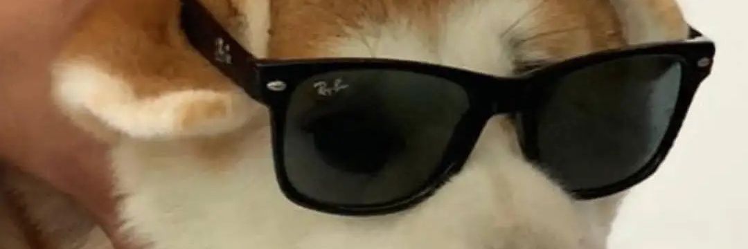 yclara's profile banner image