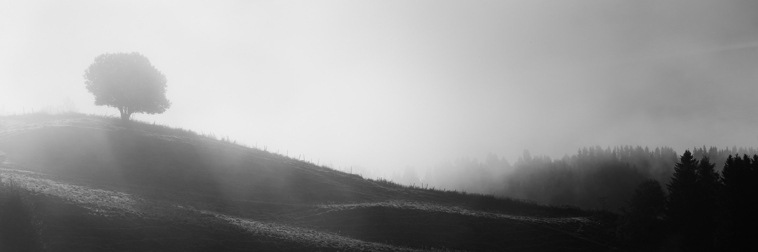 johanarnt's profile banner image
