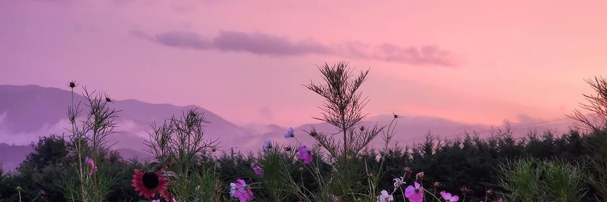 theamysato's profile banner image