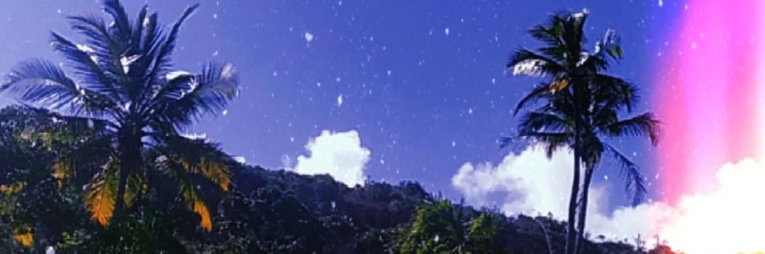 d i e g o banner