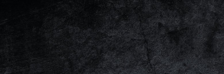 Gabriel P Gaino banner