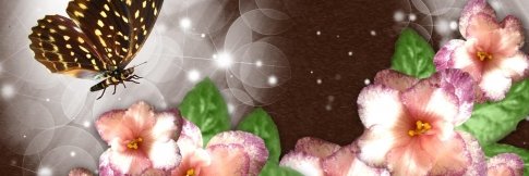 marcio roberto banner
