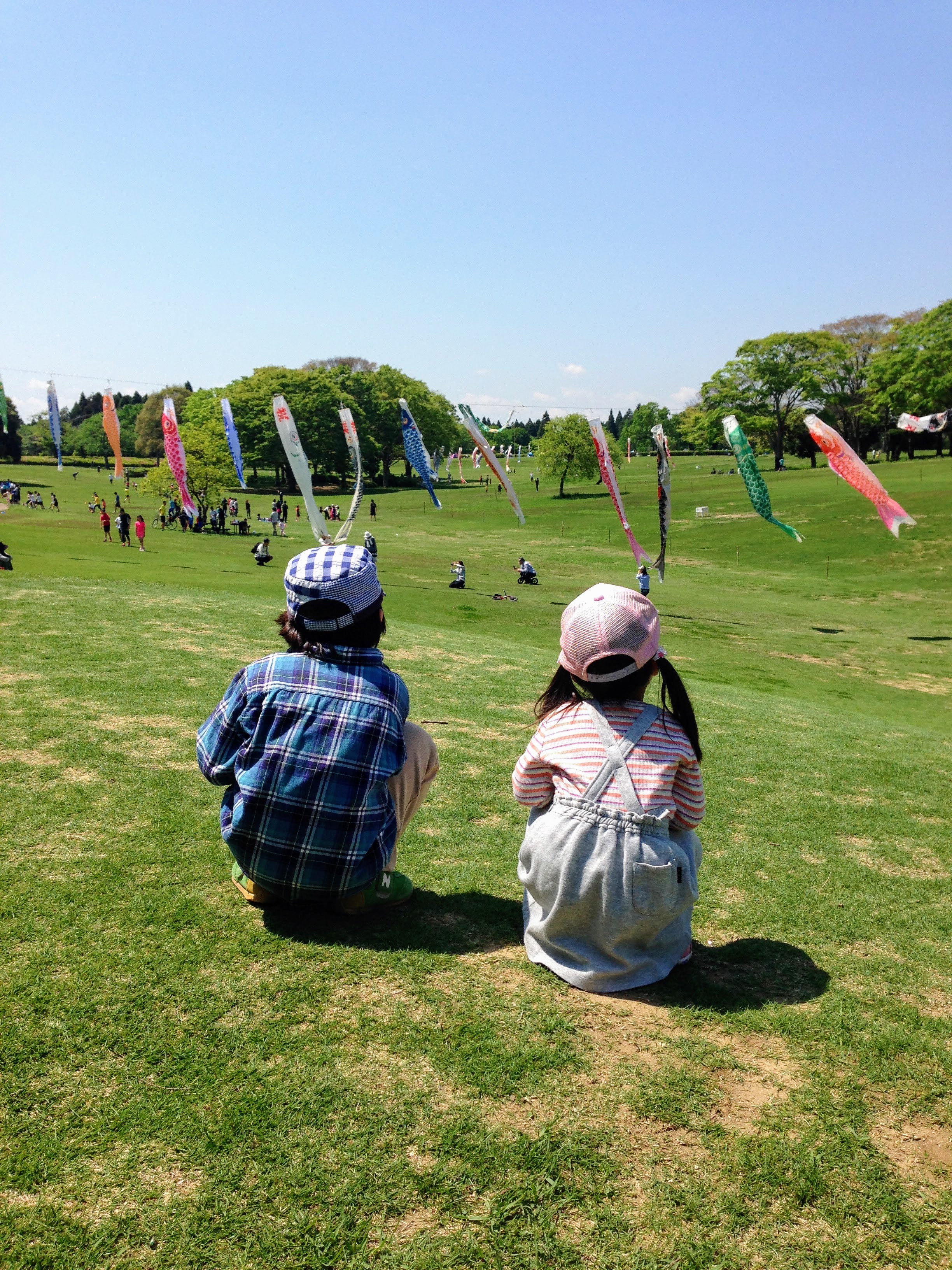 しまぶ banner