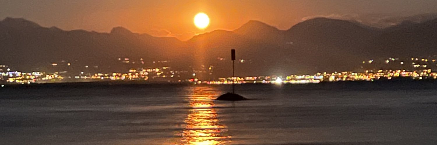 Soizic MendesdeLeon banner