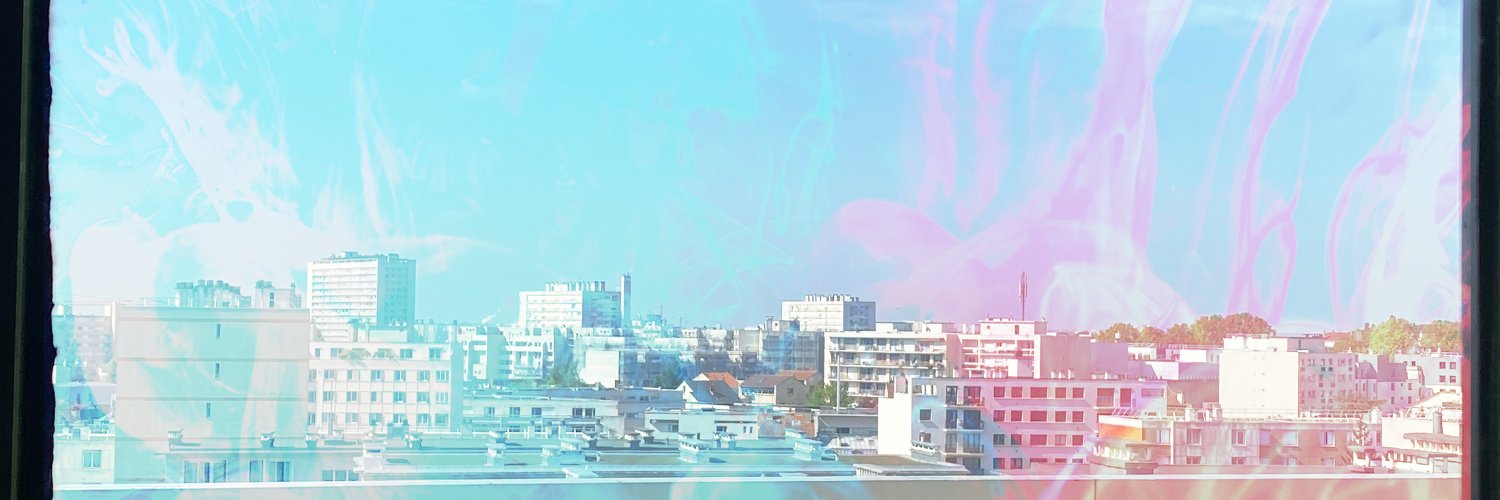 sylvain biancardini banner