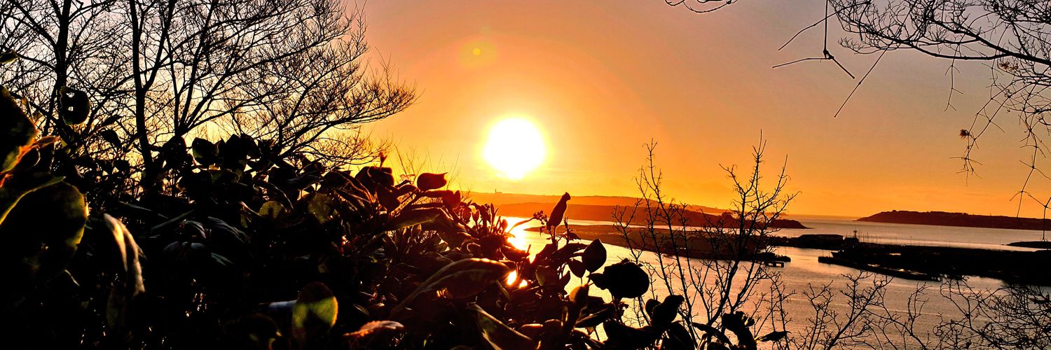 Jamie Frenett banner