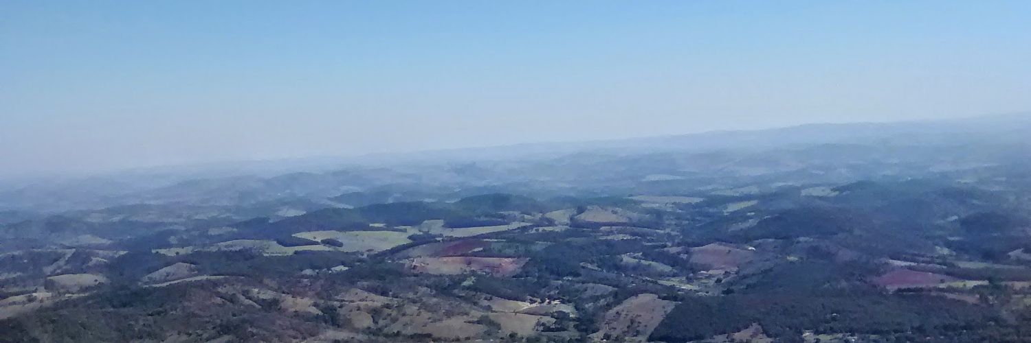Leal banner
