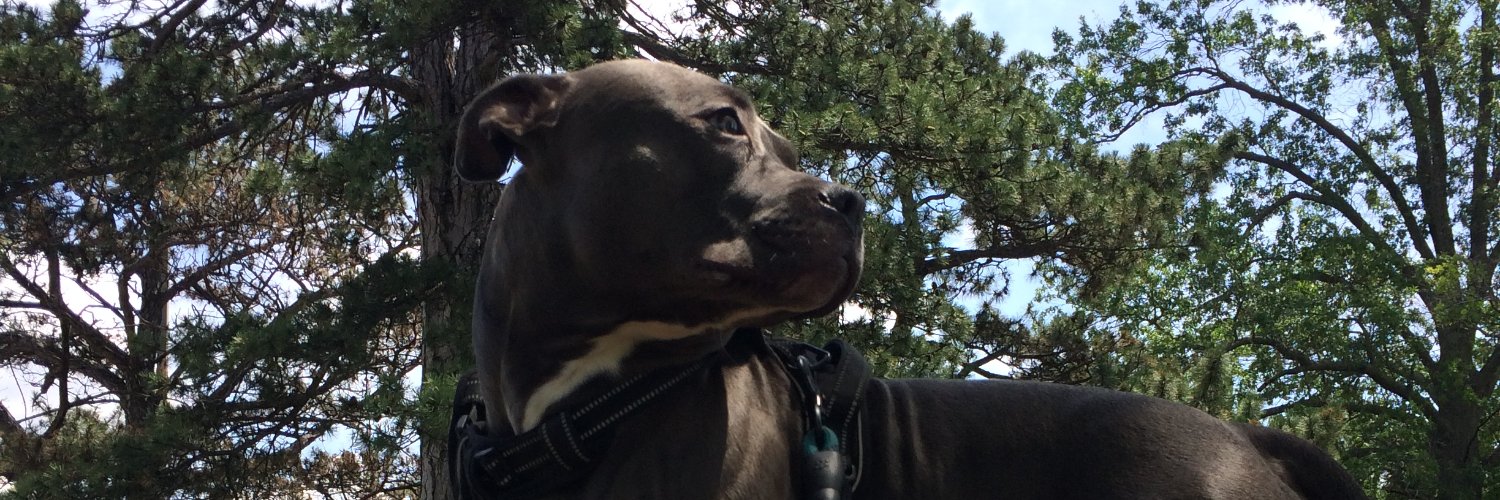 JadedB's profile banner image
