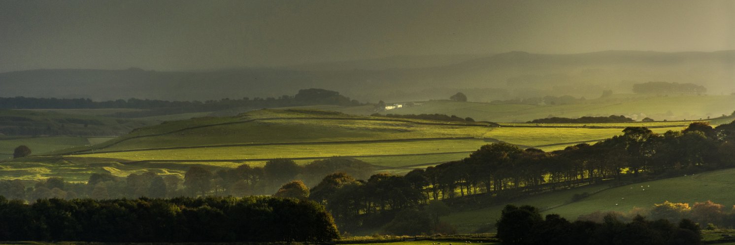 Judy Mainwaring 🇪🇺 #thegrownupsareincharge banner
