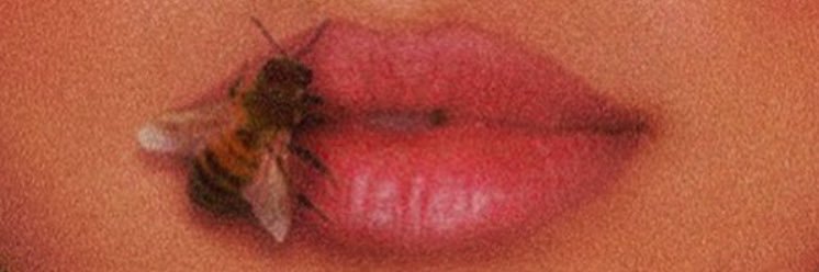 notorioussem's profile banner image