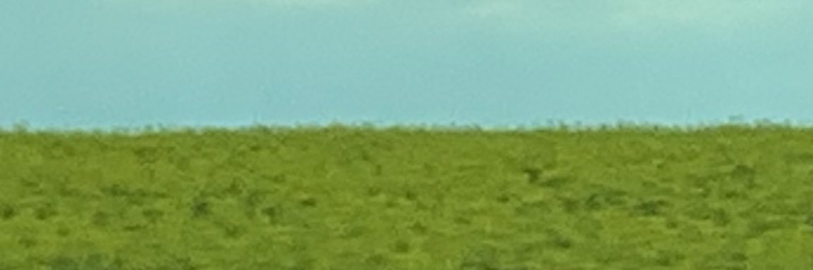 Chris Lockwood banner