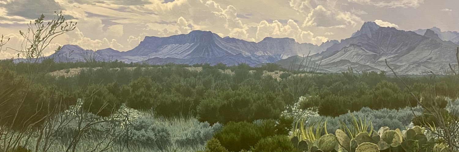 BUBexar's profile banner image