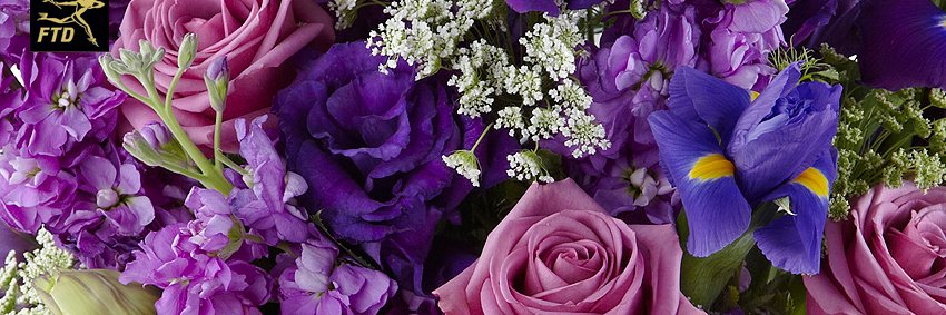 JenMorFlorist's profile banner image