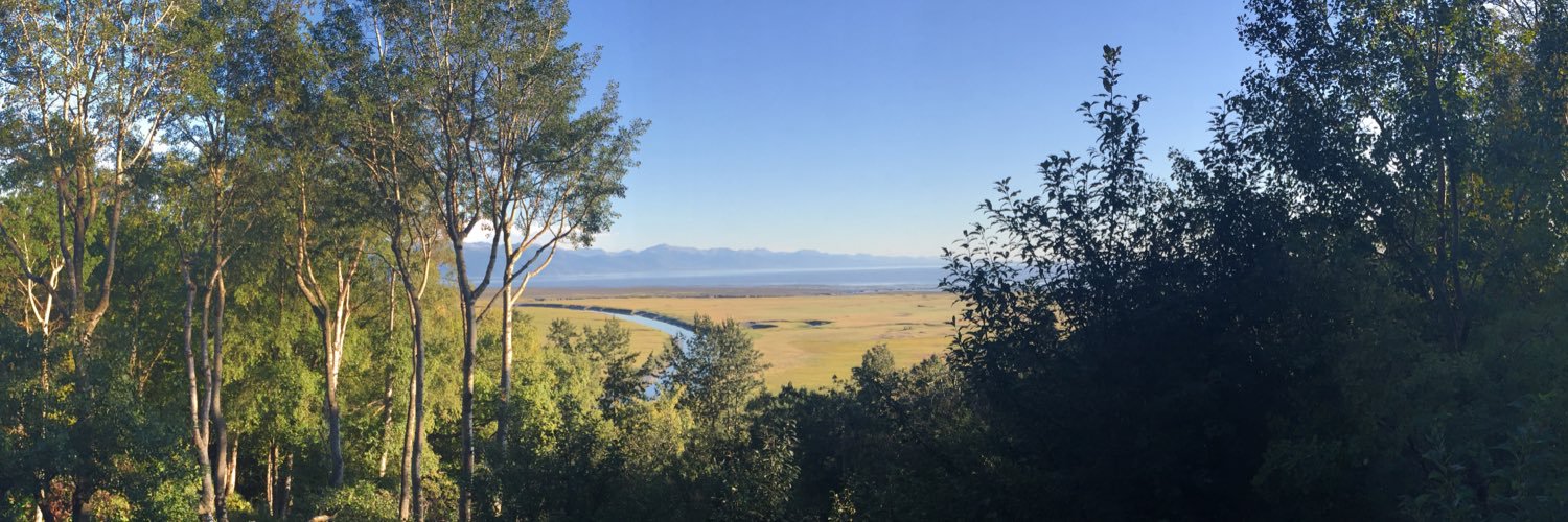 lwrightelson's profile banner image