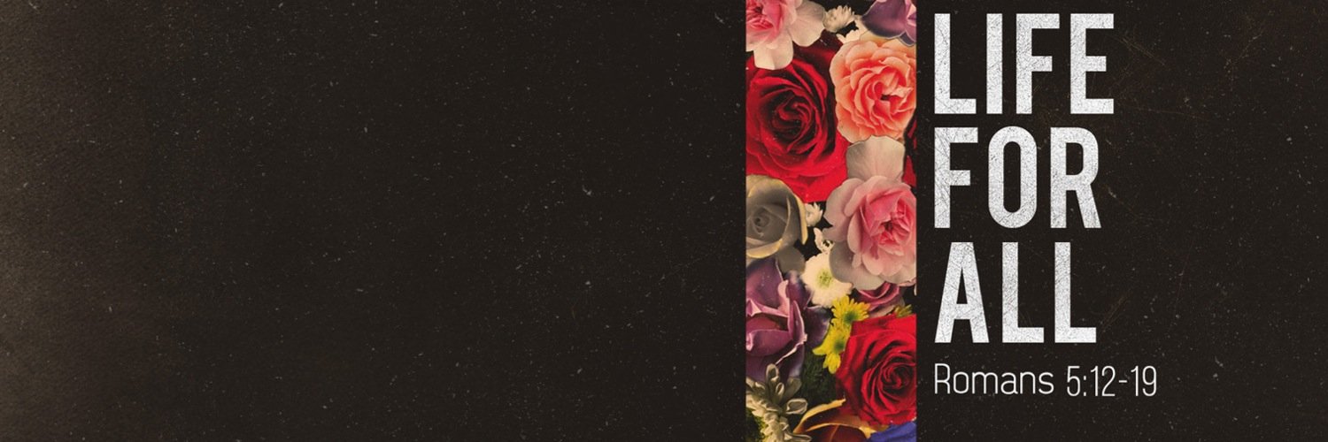 SaraVidesZ's profile banner image