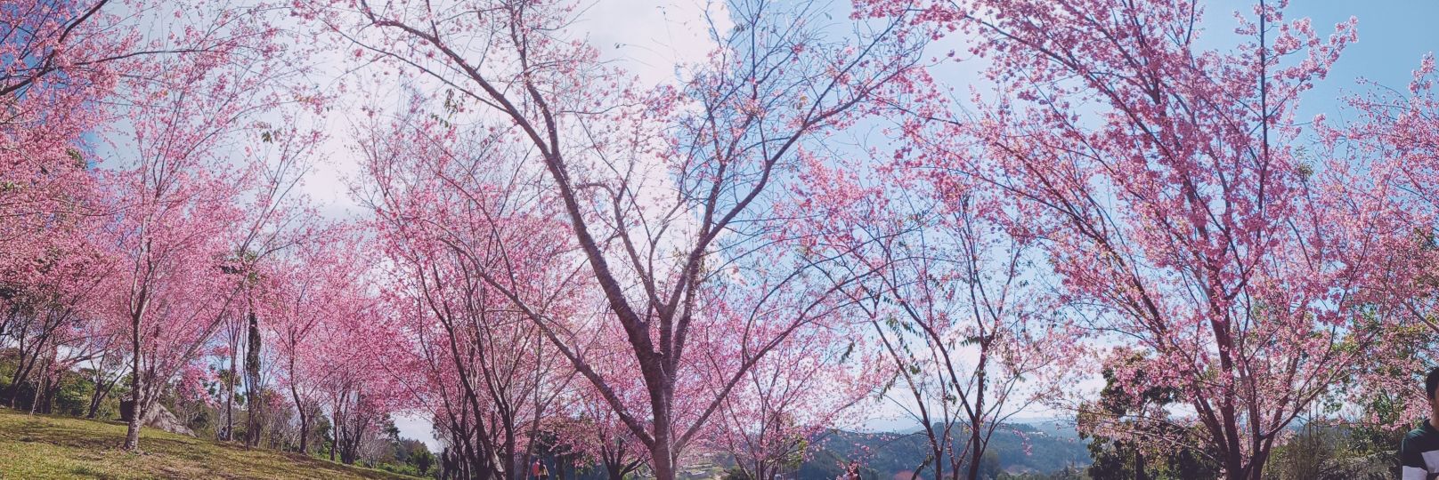 frabarmer's profile banner image