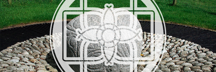 Daft Shazbot banner