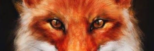 quadros_vap's profile banner image